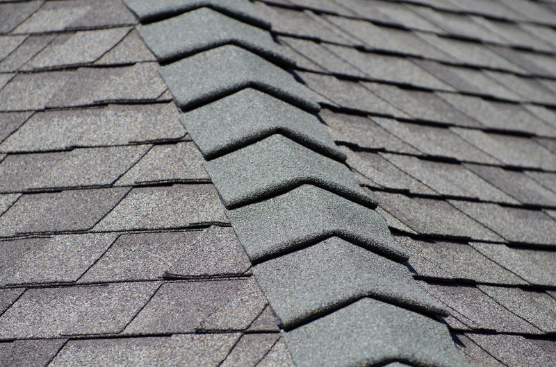 Specialty Roofing Experts